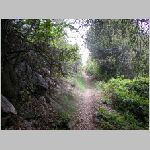 DSCN0816.html