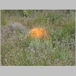 DSCN0819.html