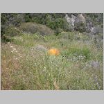 DSCN0820.html