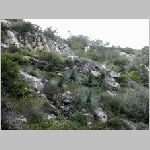 DSCN0821.html