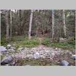 DSCN0823.html