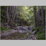 DSCN0824.html