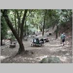 P1010005.html