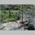 P1010033.html