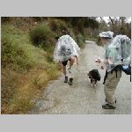 P1010036.html