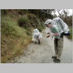 P1010037.html